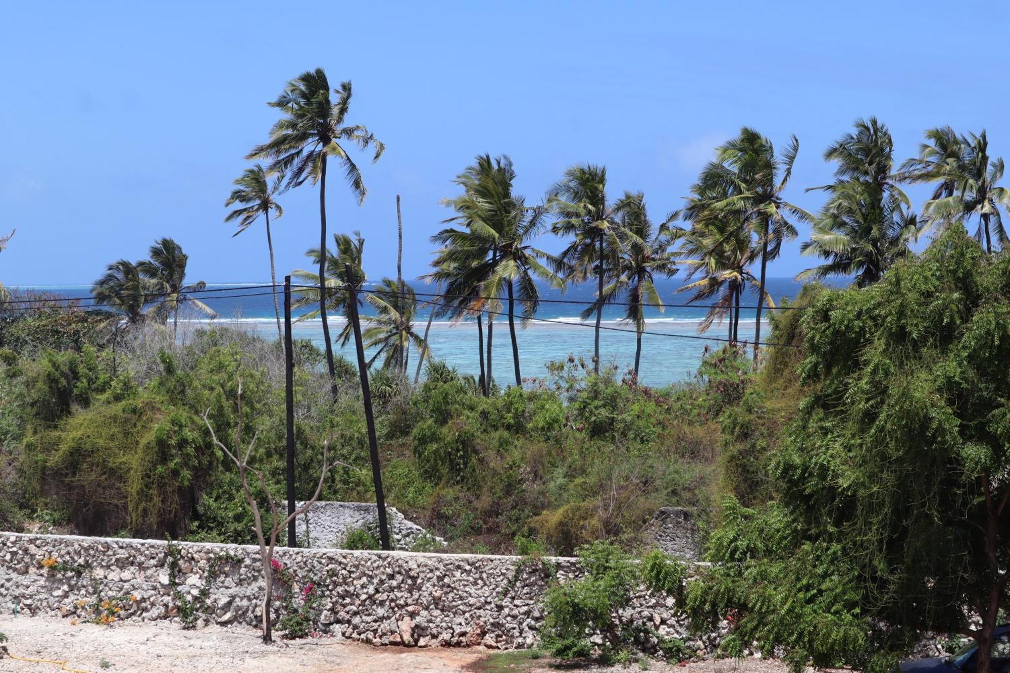 Holiday Time Bungalows Zanzibar ماتيموي المظهر الخارجي الصورة