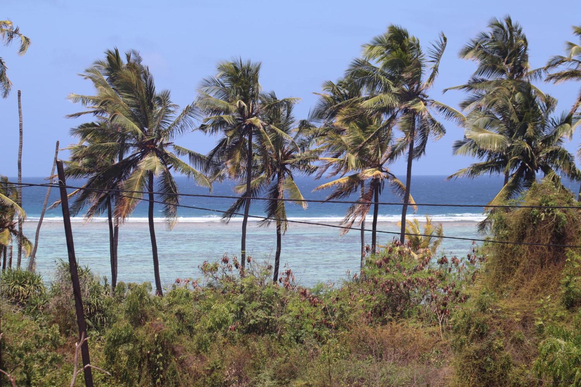 Holiday Time Bungalows Zanzibar ماتيموي المظهر الخارجي الصورة
